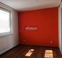 A studio apartment with a bright room and an orange wall, wooden floor, radiator by the window.