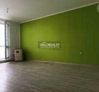 Studio apartment with laminate flooring and a green wall, large window, furnishings.