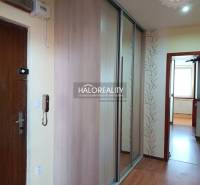 Studio apartment with a large mirrored wardrobe and wallpaper with a plant motif.