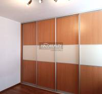 There is a built-in wardrobe with wooden sliding doors in the studio apartment.