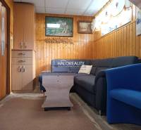 Living room in a cabin with a sofa, armchair, and wall paneling.