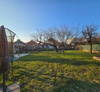 Garden at the family house on Slnečná Street in Nové Mesto nad Váhom, with trees and a trampoline.