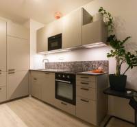 A kitchen unit in a one-room apartment with a wooden decor floor and kitchen appliances.