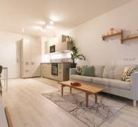 Living room in a studio apartment with a sofa, kitchenette, and wooden decor flooring.