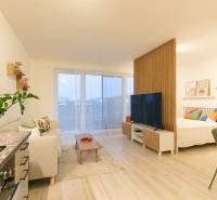 Interior of a 1-room apartment with a wooden decor floor and cozy seating.