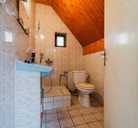 Bathroom with toilet and shower in a family house, tiled floor, wooden ceiling.