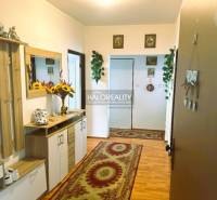 A hallway in a 3-room apartment with a wooden decor floor and floral decorations.