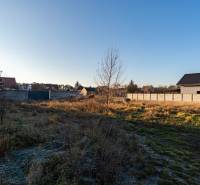 A residential plot on Borovicova Street in Lozorno, enclosed by a fence, with grass vegetation.