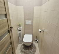 A toilet in a 3-room apartment with wood-decor tiles and flooring.
