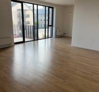 Living room with wood-patterned flooring in a two-room apartment, glass doors to the balcony.