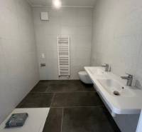 Bathroom in a 2-room apartment with dark tiles and a ladder radiator.