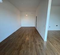 2-room apartment with wood-patterned flooring and white walls.