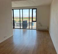 Living room of a two-room apartment with a wooden decor floor and large windows.