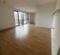 Spacious living room in a two-room apartment with wood-patterned flooring and a large window.