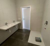 A bathroom with a large sink and a shower tray in a 2-room apartment.