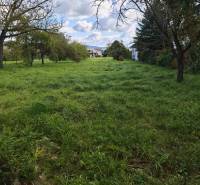 Greenery and trees on a residential plot on Malá Domaša Street, Vranov nad Topľou.