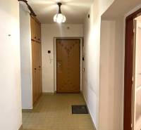 A hallway in a 2-room apartment with tiles and built-in wardrobes.