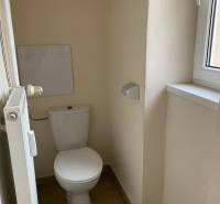 Toilet with radiator and window in a 2-room apartment.