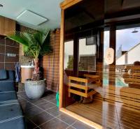 Room with a black lounger, sauna, and palm tree, on Jánošíkova Street and Family house.