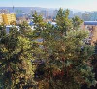 A tower with apartment blocks and trees in Bratislava - Dúbravka on Tranovského, near 3-room apartments.