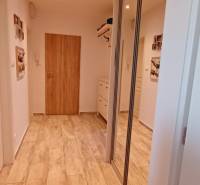 A hallway in a 3-room apartment with a wooden decor floor and a built-in wardrobe.