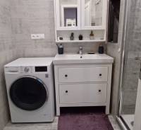 Bathroom with a washing machine, sink, cabinet, and shower in a 3-room apartment.