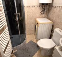 A bathroom in a family house with a washing machine, shower corner, and ladder radiator.