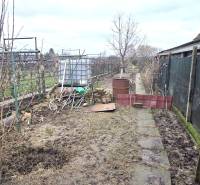 The garden of a family house in Dolné Orešany with a water tank and a container.