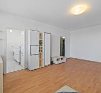 Living room in a studio apartment with wood-patterned flooring and built-in wardrobes.