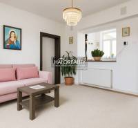 Bright living room in a family house with a gray sofa and green plants.