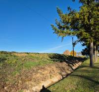 Plots - housing in the village of Velčice, grassy slope and trees along the road.