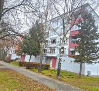 An apartment building in Poltár, where a 3-room apartment is located, surrounded by trees and a walkway.