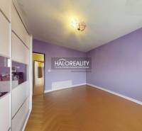 Purple room with wood-patterned flooring in a three-room apartment.