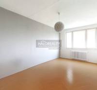A bright room in a 3-room apartment with a wooden decor floor and a large window.