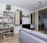 Living room in a 2-room apartment with built-in furniture and a floor with a wood decor.