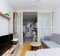 Living room in a two-room apartment with a kitchen and a wooden decor floor.