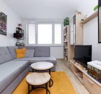 Living room with wood-patterned flooring, gray sofa, and furniture in a two-room apartment.