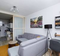 Living room in a two-room apartment with a wooden decor floor, gray sofa, and access to the kitchen.