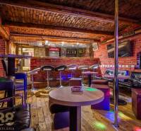 The interior of a bar with wood-patterned flooring, red bricks, and a bar counter.