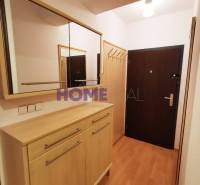 A hallway in a 2-room apartment with a wooden decor floor, a mirror, and a cabinet.