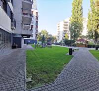 A view of a residential area with a sidewalk and green lawns in Bratislava on Drieňová.