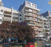 Apartment building with greenery on Drieňová Street, Bratislava - Ružinov, parking spaces in the front.