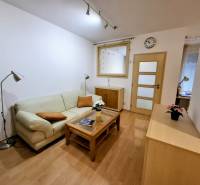 Living room in a two-room apartment with a sofa, lamp, and wooden decor flooring.