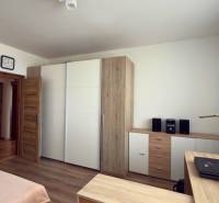 Bedroom with wood-patterned flooring, built-in wardrobe, and a plant in a 3-room apartment.