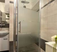 A shower corner with modern tiles and a sink in a 3-room apartment.