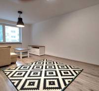 Living room in a three-room apartment with a wooden decor floor and a geometric carpet.