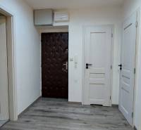 Entrance hall in a 3-room apartment with wood-patterned flooring and white doors.