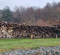 The garden at the family house in Sokol on Kopaninova Street with stored wood and the surrounding forest.