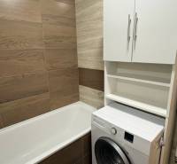 Bathroom in a studio apartment with a bathtub, washing machine, and floor with wooden decor.