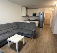 Stylish kitchen and living area with a comfortable sofa, floor with wooden decor.